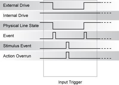 Either edge input trigger