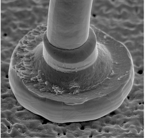 SEM image of a wire bond used in micro-electronics manufacturing. The image shows a high magnification view of a cylindrical wire bond connected to a flat base. The wire bond appears to have a fibrous or layered texture, indicating its microscopic scale. The surrounding surface is patterned, suggesting a prepared background or the material's surface.
