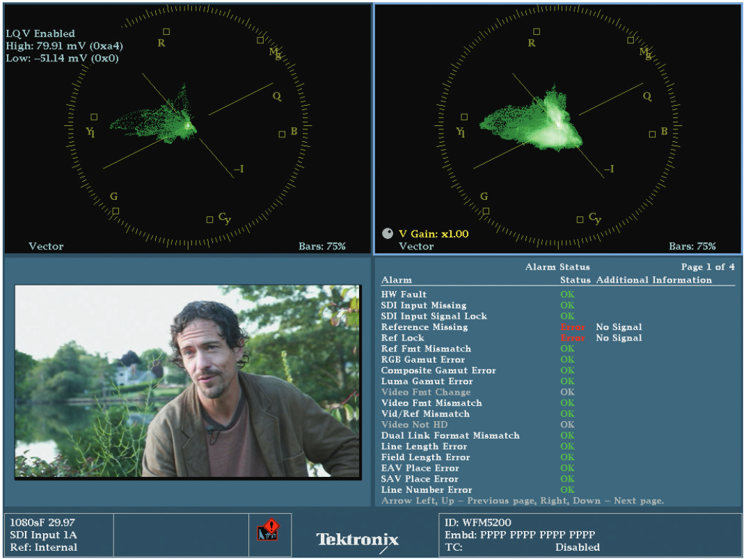 A second possible LQV display configuration with one LQV for shadows and one with a standard vectorscope