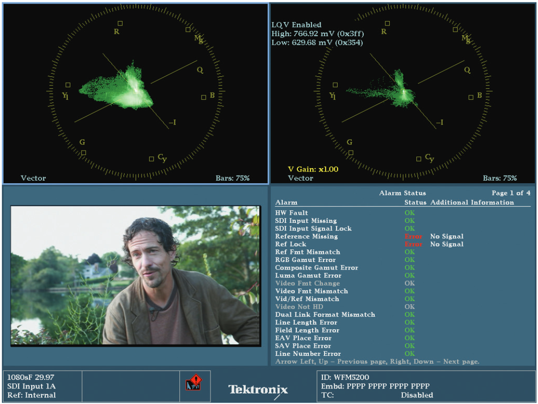 A third possible LQV display configuration with one LQV for highlights and one with a standard vectorscope