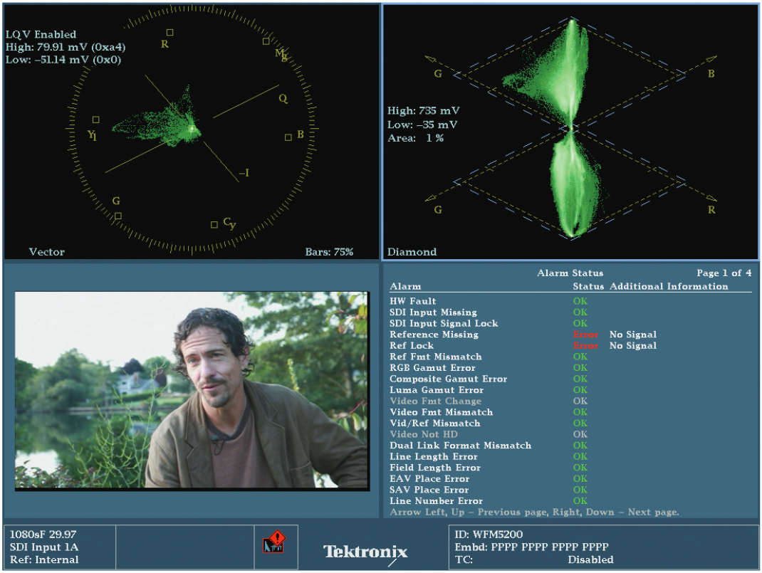 A fourth possible LQV display configuration with one LQV for shadows (or highlights) paired with a Diamond Display to monitor gamut violations