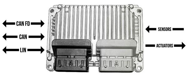 ECU-Automotive